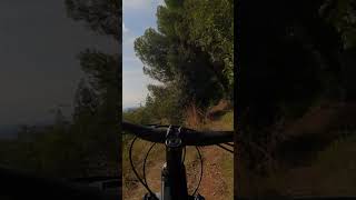 dentro al bosco #mtb #shorts