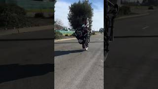 Harley Davidson wheelie