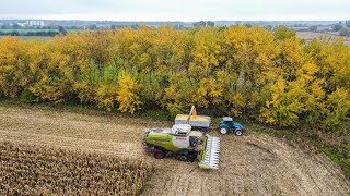 300Ha V JEDNOM VIDEU  I CCM Kukurica a ZRNOVKA 2022 I Jakos A.S. a JMG Agro