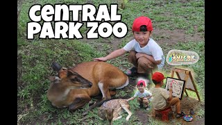 CENTRAL PARK ZOO & RESORT || WISATA EDUKASI