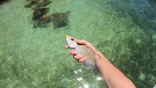 How to CATCH DINNER in CRYSTAL CLEAR water! (Florida Keys Inshore Fishing)