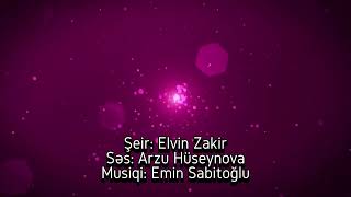 Elvin Zakir - Öz yolun gedib