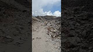 porters carry upto 60kg in mountains and normal man find difficult even to breathe #respect #legends