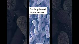 Mental Health and Your Gut Bacteria! #anxiety #depression #mentalhealth #womenshealth #guthealth