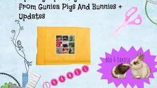 Opening A Package From Guniea Pig and Bunnies + Updates