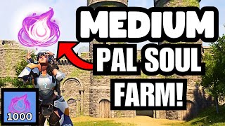 Medium Pal Souls Guide! Palworld Tutorial