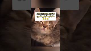 يجي بس الخميس وهخربها 😂😂