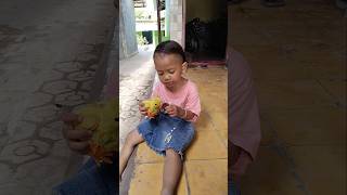 ayam nya ga mua makan #shorts #funnyvideo