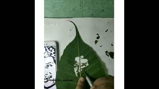 HAND MADE LEAF ART...WITH 🖼️❤️