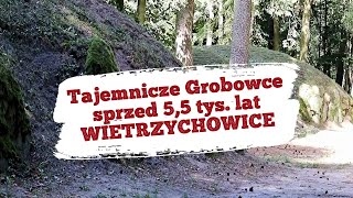 Kujawskie grobowce z przed 5,5 tysięcy lat - Wietrzychowice