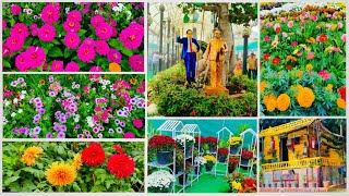 Lalbagh Flower Show 2024 | Independence Day Lalbagh Flower Show | Bangalore Flower Show | Tamil Vlog