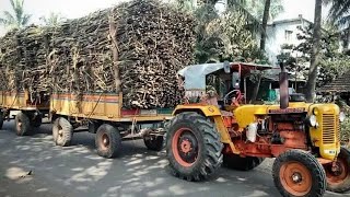 Hindustan Sugarcane LOADED