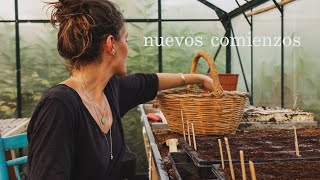 El viaje "De la Huerta a la Mesa" comienza aquí - Semillero Otoño-Invierno: Brócoli, Coliflor y Col