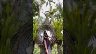 Bali Indonesia Alas Harum Swing