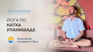 Курс обучения преподавателей йоги онлайн