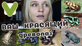 Красящие древолазы: ОБЗОР сияющей красоты!