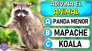 Adivina los "51 ANIMALES"🦝 | ¿Cuántos "ANIMALES" Reconoces? Test/Trivial/Quiz