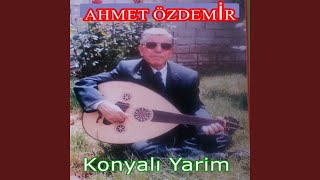 Menekşe Koymuşlar