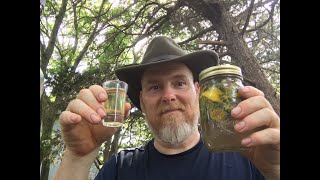 Medicinal Dandelion Aperitif.