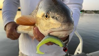 Inshore Saltwater Fishing - Savannah GA