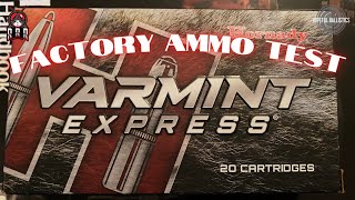 Testing Hornady Varmint Express Factory Ammo!