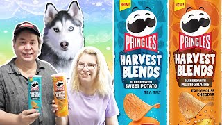 Pringles HARVEST MOON Chips Review: Are They Worth Trying?