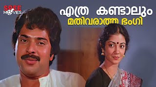 എന്താ കണ്ടാലും മതിവരാത്ത ഭംഗി | Himavahini Movie Scene | Mohanlal | Mammotty |Shanthi Krishna #movie