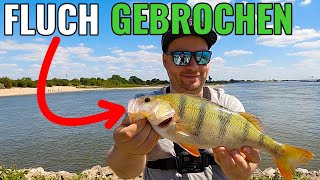 Angeln in Holland am Rhein - Der Fluch ist gebrochen! || Classic Folge || Pantoffel angelt