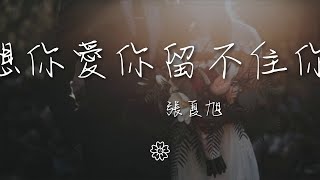 張夏旭 - 想你愛你留不住你『我想你的時候 我仍相信你的愛再守候』【動態歌詞Lyrics】