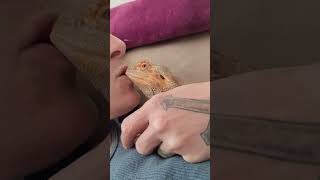 I kissed a lizard and I loved it!!!?