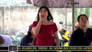 Lagu Tarling NITIP RINDU | MANUK DANGDUT PKSS | TARSONO - TARWINIH BLOK CELENG JUNTIKEDOKAN