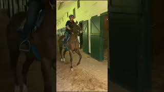 Newly broken Crucial Secret gets a lead around the shedrow from Happy This Day on 5/24.