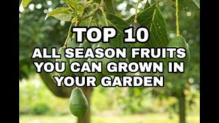 TOP 10 ALL SEASON SUITABLE FRUITS YOU CAN GROWN IN YOUR GARDEN || TNC