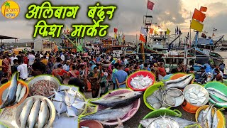 Alibag Paktti Wholesale Fish Market🐠 अलिबाग पकट्टीवरील  मास्यांचा लिलाव  🦐 Fish Auction #fishmarket