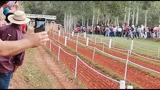 Tordillo Englerd gran ganador en la Carrera del Siglo