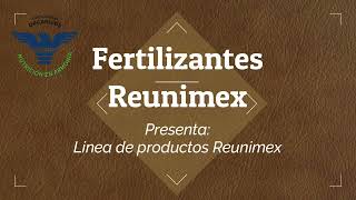 Lista de Productos Reunimex