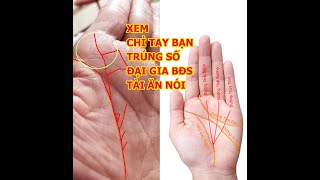 Xem bàn tay, chỉ tay Trúng số, Đại gia BĐS, Lộc lớn, Phước lớn của người có Ô vuông trên Gò Mộc Tinh