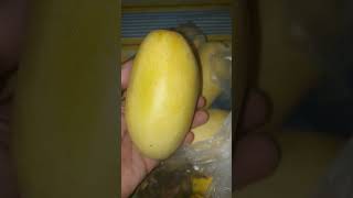 Very sweet carabao mango from Philippines #trending #manga #mango #fruit