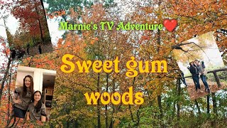 Sweet Gum Woods @yuenlong (Hongkong vlog🇭🇰) vlogmas#3