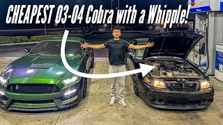 BOUGHT THE CHEAPEST WHIPPLE TERMINATOR COBRA EVER…