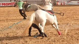 Mounted Games World Junior Team  Finals 2014