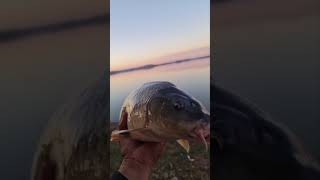 محترفين صيد السمك professional fishing