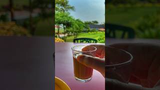 Mangroove Resort, Kelva #youtubeshorts #travel #foodandtravel