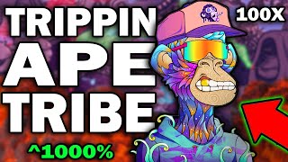 TRIPPIN APE TRIBE SOLANA NFT! 300K TWITTER?!? (Do not miss...) 100X?