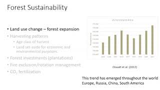 Forest Management and the Expanding Global Forest Carbon Sink