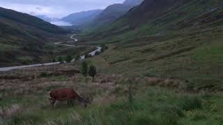 Kinlochewe viewpoint