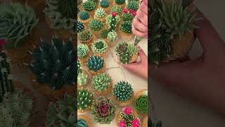 Creative Food Ideas - Edible Cactus and Succulents I PlantFactory