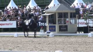 Gazella wins 7 years old championship, Falsterbo Horse Show 2011