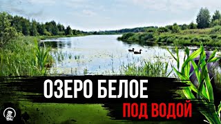 Озеро Белое (Ближнее)  //Навашино // Нижегородская область