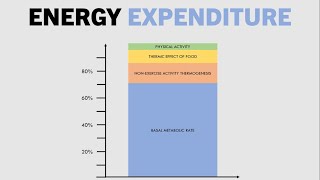 How do we Expend Energy? | Fat Loss Fundamentals